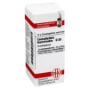 DHU Caulophyllum thalictroides D 30, 10 g