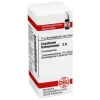 DHU causticum Hahnemanni C 6 Globuli, 10 g