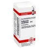 DHU Collinsonia canadensis D 6 G, 10 g