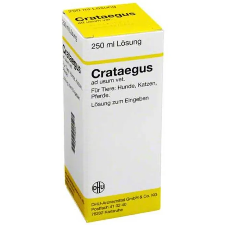 DHU Crataegus ad usum vet. Dilution, 250 ml