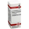 DHU Cuprum arsenicosum D 12 Globuli, 10 g