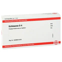 DHU Echinacea D 4 Ampullen, 8X1 ml