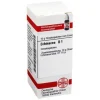 DHU Echinacea HAB D 1 Globuli, 10 g