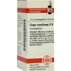 DHU Elaps corallinus D 8 Globuli, 10 g
