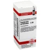 DHU Eupatorium perfoliatum C 30, 10 g