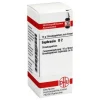 DHU Euphrasia D 2 Globuli, 10 g
