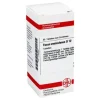 DHU Fucus vesiculosus D 12 Tabletten, 80 St