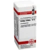DHU Ginkgo biloba D 12 Globuli, 10 g