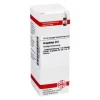 DHU Graphites D 6 Dilution, 20 ml