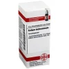 DHU Kalium bichromicum D 6 Globuli, 10 g