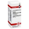 DHU Kalium phosphoricum C 200 Gl, 10 g