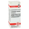 DHU Latrodectus mactans C 200 Gl, 10 g