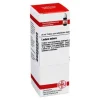 DHU Ledum Extern Tinktur, 20 ml
