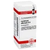 DHU Levisticum officinale D 6 Globuli, 10 g