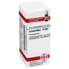 DHU Lycopodium D 200 Globuli, 10 g