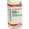 DHU Melilotus officinalis D 6 Globuli, 10 g