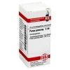 DHU Panax Ginseng C 30 Globuli, 10 g