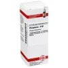DHU Phosphorus D 30 Dilution, 20 ml