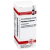 DHU Plumbum aceticum D 6 Globuli, 10 g