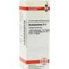 DHU Rhododendron D 4 Dilution, 20 ml