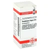 DHU Sambucus nigra D 6 Globuli, 10 g