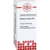 DHU Senecio Aureus D 6 Dilution, 20 ml