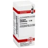 DHU Stannum metallicum C 30 Globuli, 10 g