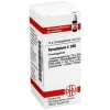 DHU Symphytum C 200 Globuli, 10 g