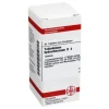 DHU Yohimbinum hydrochloricum D 4 Tabletten, 80 St