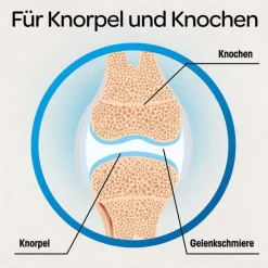 Dr. Böhm Knorpel & Knochen Tabletten, 60 St