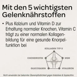 Dr. Böhm Knorpel & Knochen Tabletten, 60 St