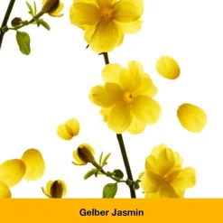 dystoLoges® Tabletten, 100 St