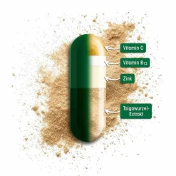 Eleucoc Immun & Energy Kapseln, 60 St