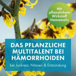 FAKTU lind Hämorrhoidensalbe mit Hamamelis, 25 g