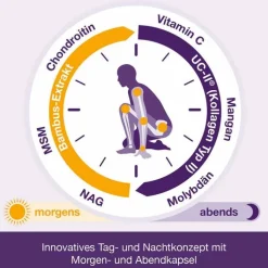 Flexiloges Knorpel aktiv Kapseln, 240 St