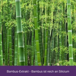 Flexiloges Knorpel aktiv Kapseln, 240 St