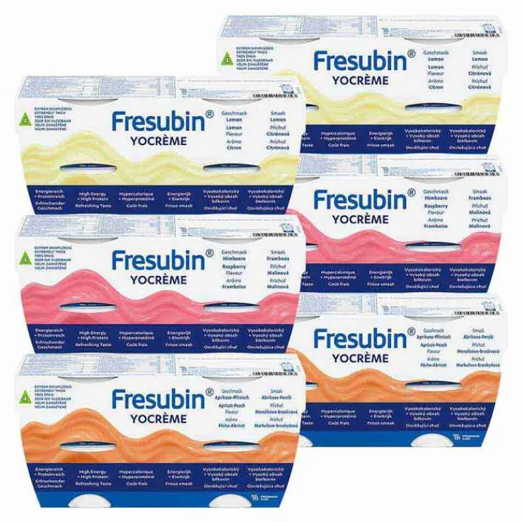 Fresubin Yocreme Mischkarton, 24X125 g