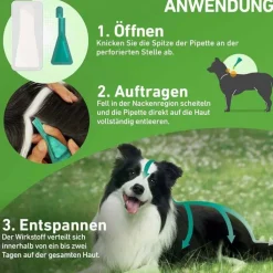 FRONTLINE COMBO® gegen Zecken, Flöhe bei Hunden XL (40-60 kg), 3 St