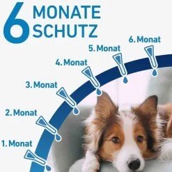 FRONTLINE® SPOT ON Hund M Lösung, 6 St
