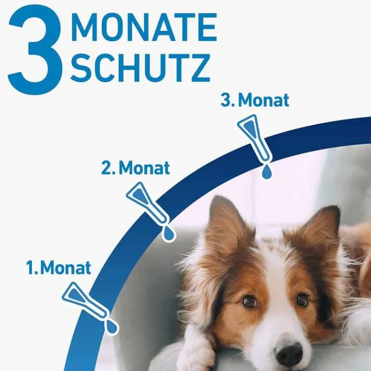 FRONTLINE® SPOT ON Hund S Lösung, 3 St