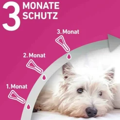 FRONTLINE TRI-ACT® gegen Zecke, Floh und fliegende Insekten bei Hunden (20-40kg), 3 St