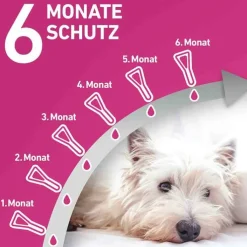 FRONTLINE TRI-ACT® gegen Zecke, Floh und fliegende Insekten bei Hunden (5-10kg), 6 St