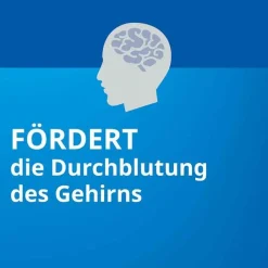 Ginkgo STADA® 240 mg Filmtabletten, 120 St