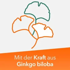 Ginkobil ratiopharm 120mg mit Ginkgo biloba, 60 St