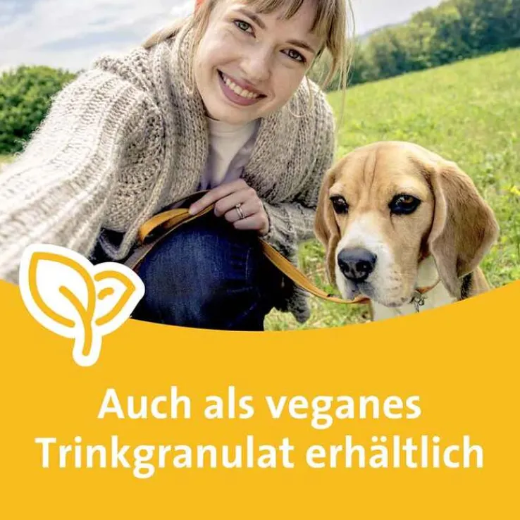 Grippostad C Hartkapseln bei Erkältung, 24 St