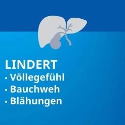 Heparstad® Artischocken, 100 St