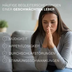 Hepatodoron Tabletten, 200 St