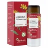 Hypericum D12 Globuli Pflüger Dosierspender, 10 g