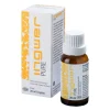 Ingwer Pure Tropfen, 20 ml