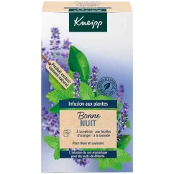 Kneipp Kräutertee Gute Nacht Tee Filterbeutel, 20 St